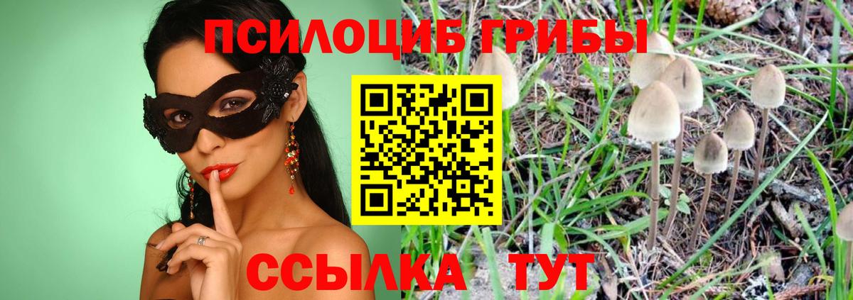 Дубна  Псилоцибиновые грибы мухоморы  Вход с VPN 