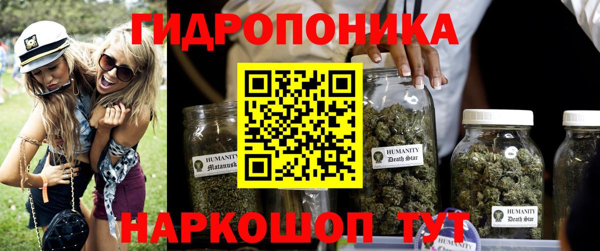 Каннабис White Widow  Вход с VPN  Дубна  МАРИХУАНА тримм  МАРИХУАНА семена  Конопля SATIVA & INDICA 